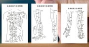 全身经络穴位参照图挂图图片素材