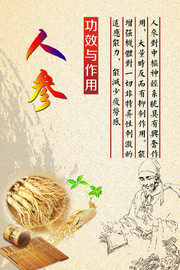 中草药知识展板 人参功效与作用展板