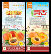 新鲜黄杏水果海报设计素材