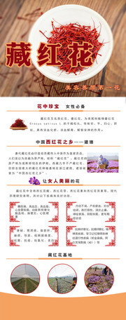  藏红花X展架模板下载
