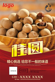 桂圆干果宣传海报图片素材