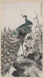 孔雀画 孔雀图轴_近现代_江寒汀 