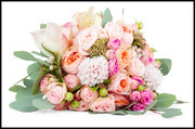 �ʻ�����ͼƬ�ز�