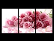 ��ɫõ�廨����װ��ͼƬ����