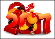 2017�꼦����������ز�