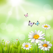 ��ɫ���մ��챳��ͼƬ�ز�