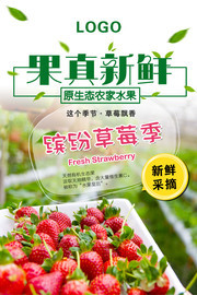 草莓采摘海报设计素材