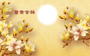 ����������������ӱ���ǽװ�λ�