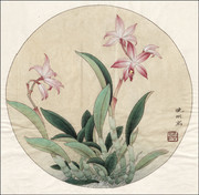 工笔石斛花图片素材