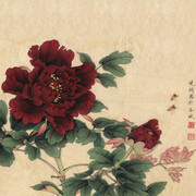羊城牡丹国画图片素材