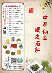 铁皮石斛中草药宣传图片素材