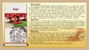 枸杞的知识介绍展板图片素材