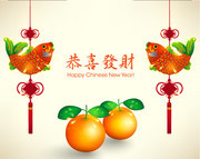 中国结鲤鱼新年图片素材
