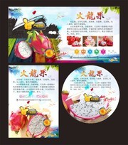 火龙果水果店海报图片