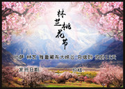 桃花节海报设计素材