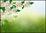 ���´��컨�ܱ�������ز�