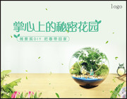 微景观DIY把春带回家盆栽海报