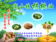 高山铁核桃油宣传海报