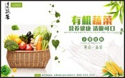 有机蔬菜海报设计素材