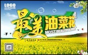 最美油菜花春游赏花宣传海报