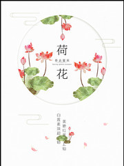 春去夏来清新荷花海报图片