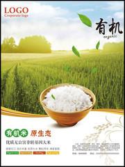 有机大米海报设计图片素材