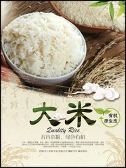 大米粮食海报图片素材
