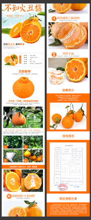 橘子蜜桔淘宝详情页设计模板