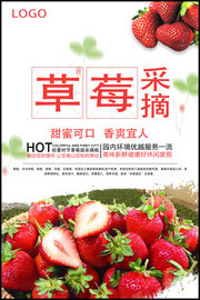 草莓采摘活动海报 