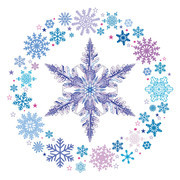 雪花环和冰晶矢量素材