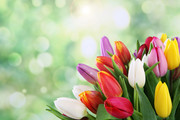 �Ų��������ʻ�ͼƬ�ز�