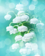 ��ɫ���ӻ�����ͼƬ�ز�