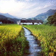 乡村小路唯美风景图片