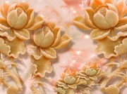 ����ɻ����ӱ���ǽװ�λ�