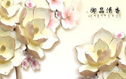 3D�ɻ�����������ǽͼƬ