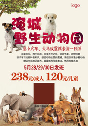 野生动物园旅游宣传海报