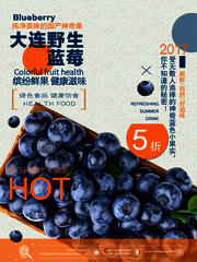 新鲜蓝莓水果促销海报图片