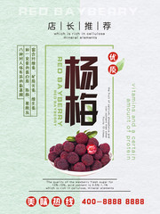 杨梅促销水果店海报