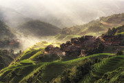 美丽梯田自然风景图片素材