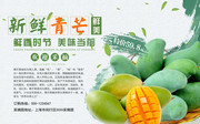 新鲜青芒水果促销海报