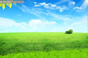 �����µĲݵط羰����ͼƬ