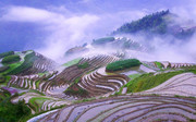 唯美梯田风景高清图片