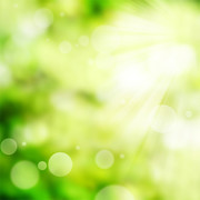 清新绿色虚化背景高清图片