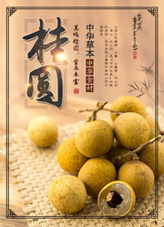 桂圆水果海报设计素材
