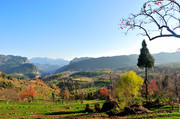 乡村田园自然风景图片