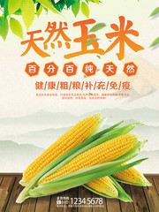 天然玉米蔬菜海报图片素材