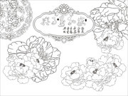 白描手绘牡丹图片素材