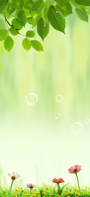��ҶҶ�ӱ���ͼƬ�ز�