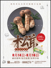 松茸野生菌菇蔬菜海报图片