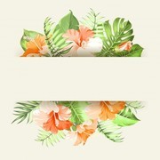 ˮ�ʷ�ɣ������ͼƬ�ز�